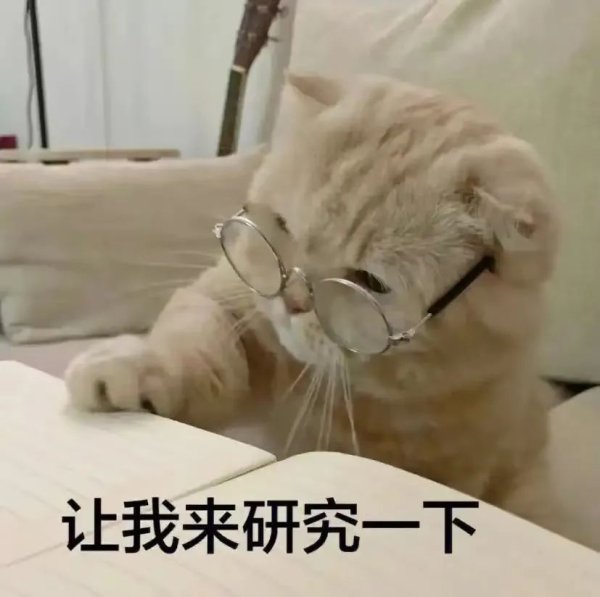 新玺配资 市场规模巨大，急需专业人才！全国首个“宠物”本科专业来了