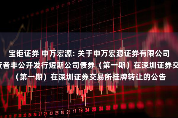 宝钜证券 申万宏源: 关于申万宏源证券有限公司2025年面向专业投资者非公开发行短期公司债券（第一期）在深圳证券交易所挂牌转让的公告