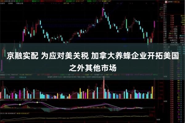 京融实配 为应对美关税 加拿大养蜂企业开拓美国之外其他市场