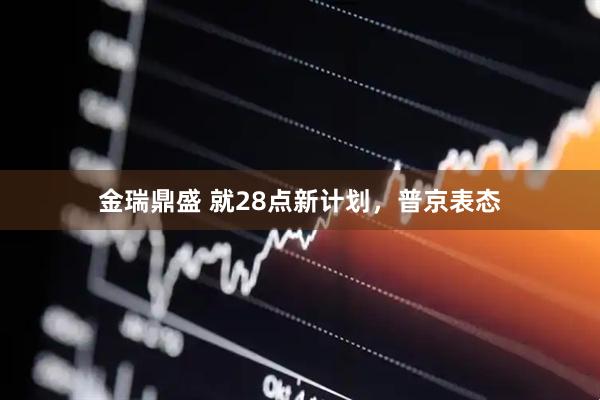 金瑞鼎盛 就28点新计划，普京表态