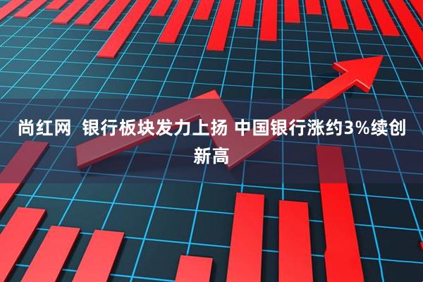 尚红网  银行板块发力上扬 中国银行涨约3%续创新高